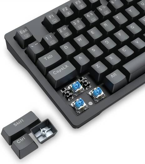 Thumbnail of EScqXNRaYDEhmaaKhbmqXTpkP6jrZcXZVJZzKlO0.jpg